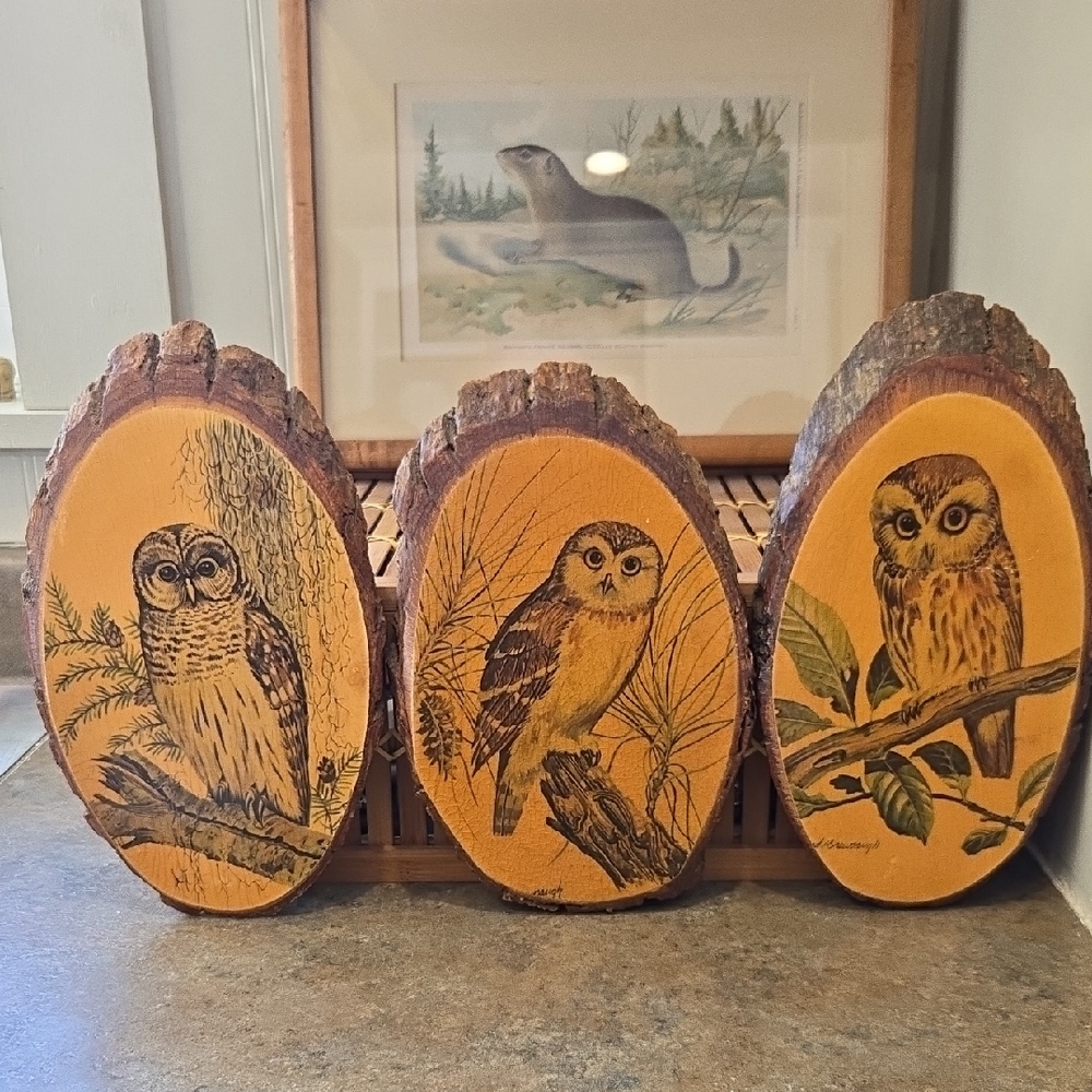 Vintage Decopage Owl Wall Art 70s